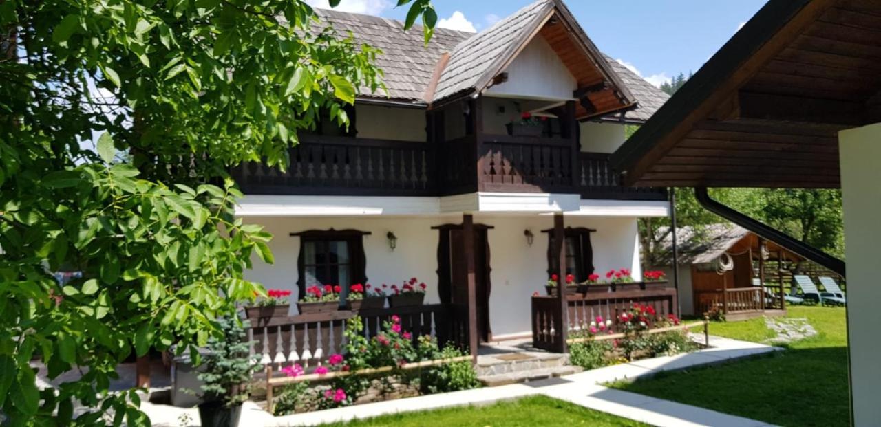Pensiunea Bradet Brosteni Exterior foto