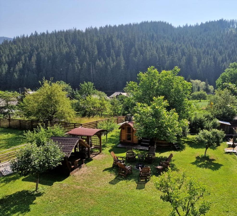 Pensiunea Bradet Brosteni Exterior foto