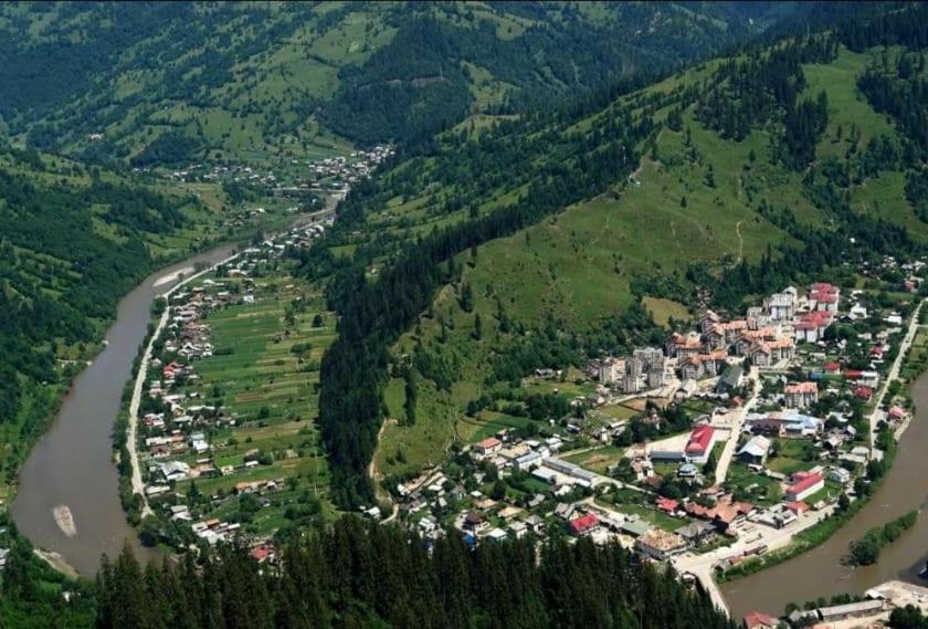 Pensiunea Bradet Brosteni Exterior foto