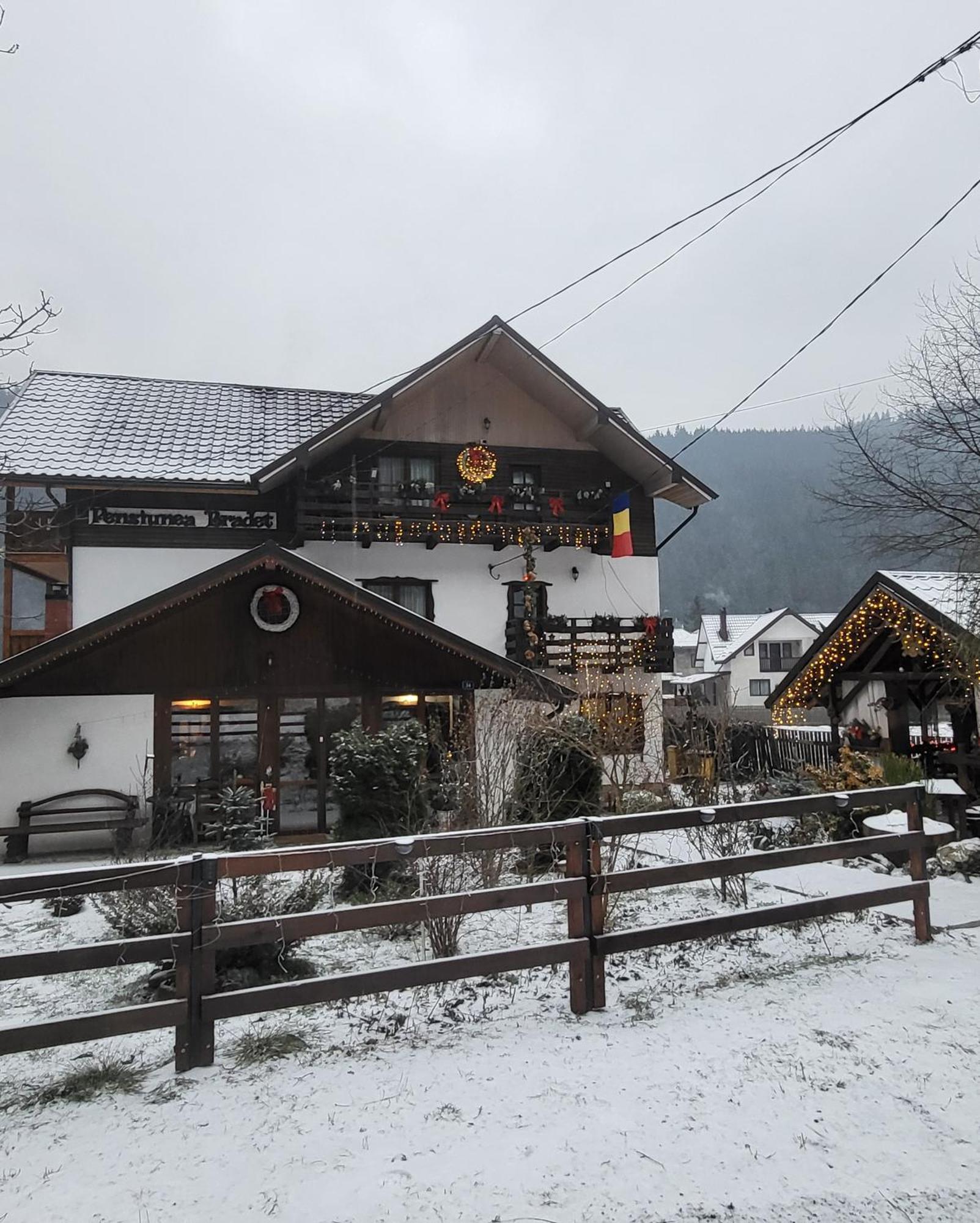 Pensiunea Bradet Brosteni Exterior foto